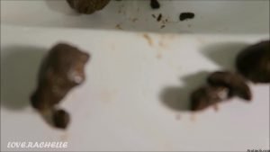 LoveRachelle2 - Poop And Smear In Sink - FullHD-1080p 00000