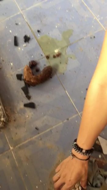 VeganLinda - Big Shit On Hotel Floor In Thailand - Scatmob.Com 00002