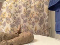 LucyPuddles EFRO - Pretty Dirty Hole 00004