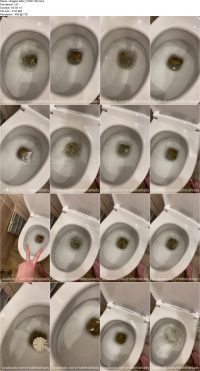 clogged-toilet_10091138.ScrinList