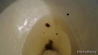 Compilation Of Poops - DirtyFairy 00004
