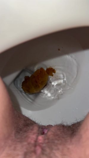 Moaning toilet poo and pee! 00002