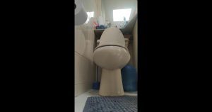 Veronicapassi - DirtDays Toilet Report 00003