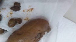 EXTREME CLOSE UPS of my turds 00001