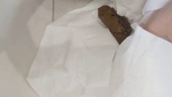 EXTREME CLOSE UPS of my turds 00002