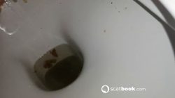 Miss Lith Domina - Scat Piss And Farts 2 00002