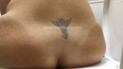 Queen Sylvy’s Gas7868797098-0sy Spreadin’ and Splashin’ 00001