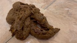 Sophia Sprinkle – Shitting 1_2 lb. for LOSER Paypig Sub! 00001