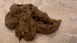 Sophia Sprinkle – Shitting 1_2 lb. for LOSER Paypig Sub! 00002