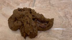 Sophia Sprinkle – Shitting 1_2 lb. for LOSER Paypig Sub! 00003