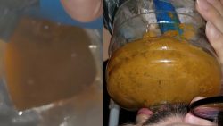 so muc564646456h shit 00001