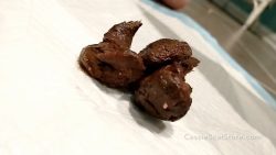 CassieScat – Eat, Fart, Sniff, Dump, Taste Dump AGAIN! 00002