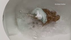 Hungry Slav7567567567567e 4 My Poop 00002 Hungry Slav7567567567567e 4 My Poop 00002