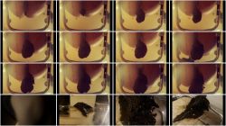 Arisdark – Poop in t76656756657ransparent chair .ScrinList