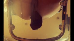 Arisdark – Poop in t76656756657ransparent chair 00000