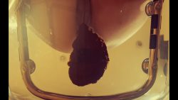 Arisdark – Poop in t76656756657ransparent chair 00001