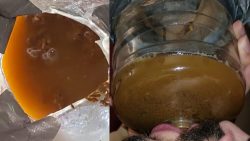 Jungle Go6756756756ddess 00003 Jungle Go6756756756ddess 00003