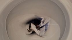 Pooping on his75464756756454647 face picture 00003