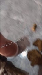 Shi645666546tty dildo 00003