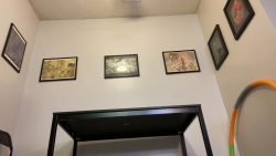 Simulated Face Fa765757567567rting Session 00001