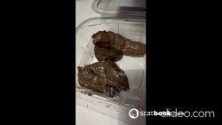 Sirena Rozhevy - 6 days of collection 00001