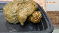 You’re a pa564656546thetic human toilet 00003