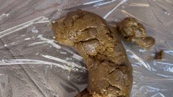 Solid Shit on Couc65765757567h and Close-up Wipe! 00003