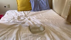Bed654666546 Shit 00000