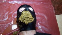 Slave in doggys86758756896tyle, pooping, in his mouth 00001