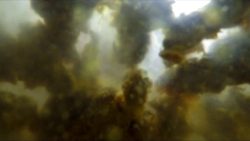 Underwater Cre67567756475647amy Toilet Poop 00003