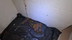 Diarrhea on67567567567 the wall 00003
