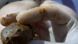 POV Dirty Mass76567567567eur vs Scat Feeder 00003
