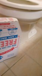 Pizza Box Dine56546546456 And Dump 00003