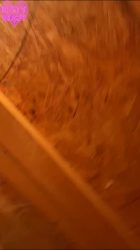 POV hooku766576577p in festival toilet 00003
