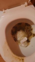 Uni”Ella sitting o765757657657567n the toilet pooping 00003