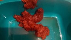 Crazy TURD7856756756S Fast Poop 00002