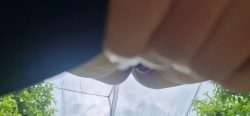 In der Natur piss76878787en und meine Lust befriedigen 00002
