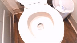 Prolapse Shi56765765567tting Compilation 00001