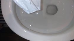 Rosebud Diarrhea And Farts 00001