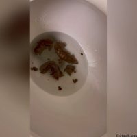 trophy turds 00004