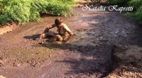 Kat smeared and bathes in cow shit 00000