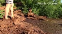 Kat smeared and bathes in cow shit 00002