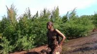 Kat smeared and bathes in cow shit 00004
