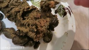 LoveRachelle2 - Playing With Your Food - FullHD-1080p 00002 LoveRachelle2 - Playing With Your Food - FullHD-1080p 00002
