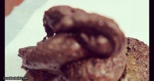 LoveRachelle2 - SUPER High-Detailed Shitting Feeding CLOSE Up - 4K-2160p 00001 LoveRachelle2 - SUPER High-Detailed Shitting Feeding CLOSE Up - 4K-2160p 00001